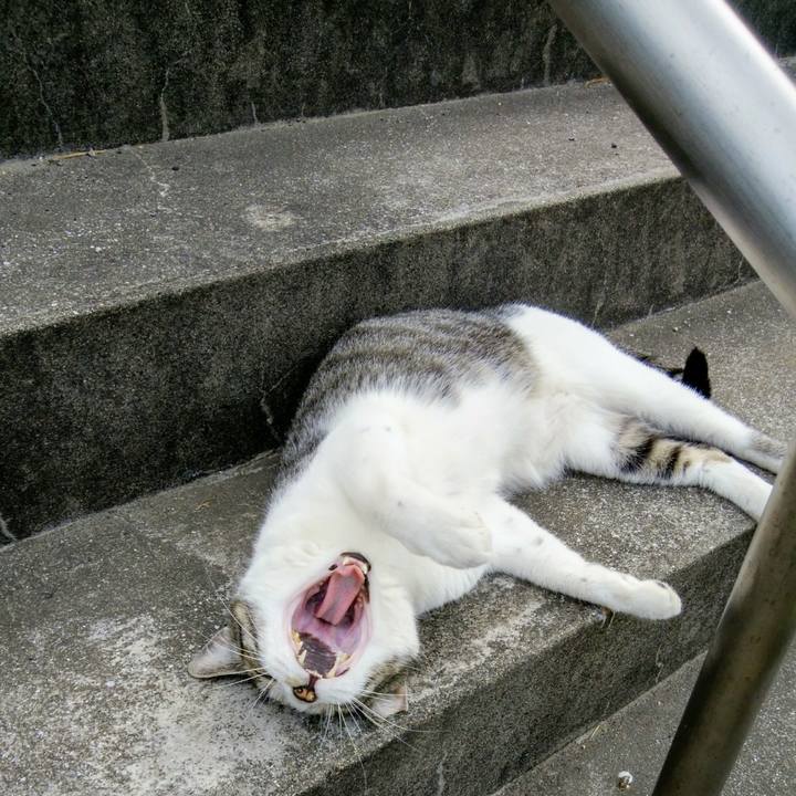 A75150e0 aefd 4232 831c fc60285a28aa 1560078340254