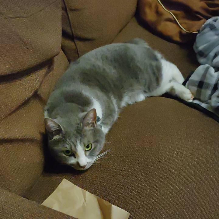 A7517c70 a08c 442d b2f9 cca97c006ef6 1715083311962