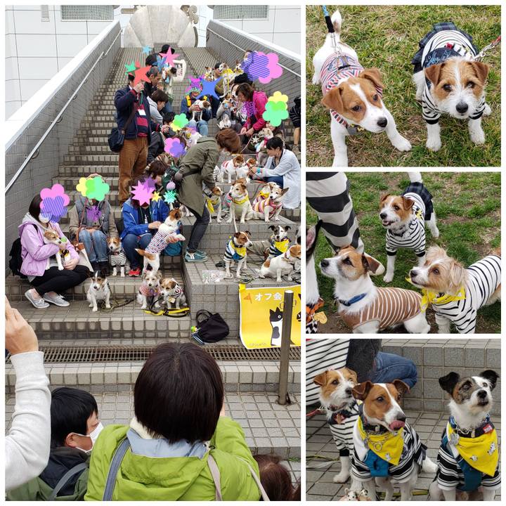 A7518fa1 af4d 4781 a546 f3aec02c09c6 1552466743938