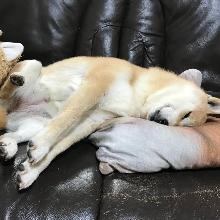 A751a3df 0691 4f34 866e e493d2efb18d 1519120814074