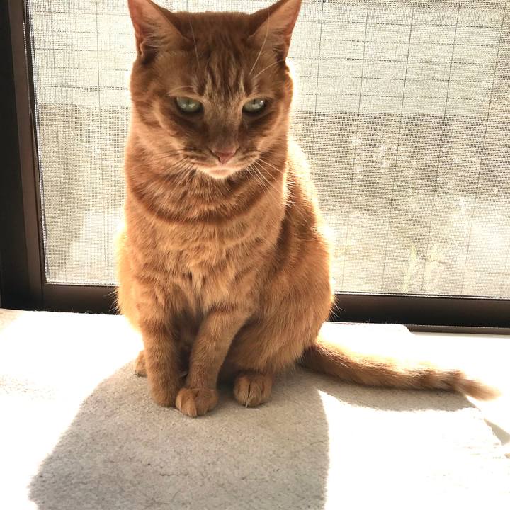 A751cacf adbd 47c7 bb3b d2da2dff6ac0 1576134684668