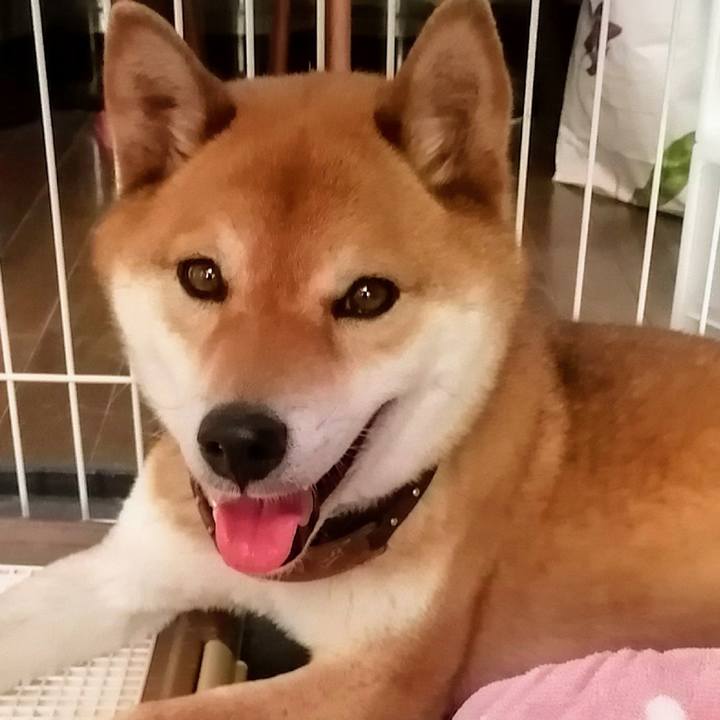 A751dee5 f55e 48eb aefb 2bee40b2680b 1587266355568