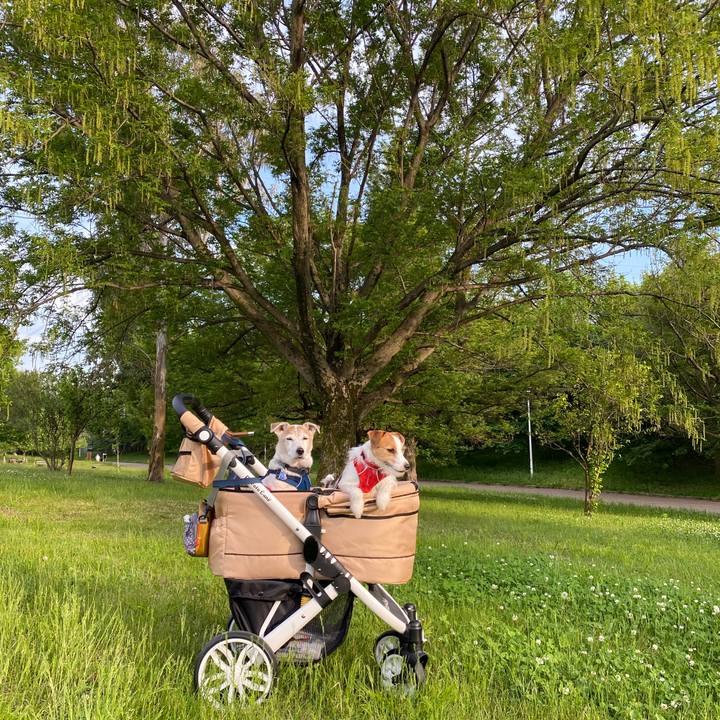 A751e463 92a8 4b31 ab11 8ec3c807bb3d 1651743555113