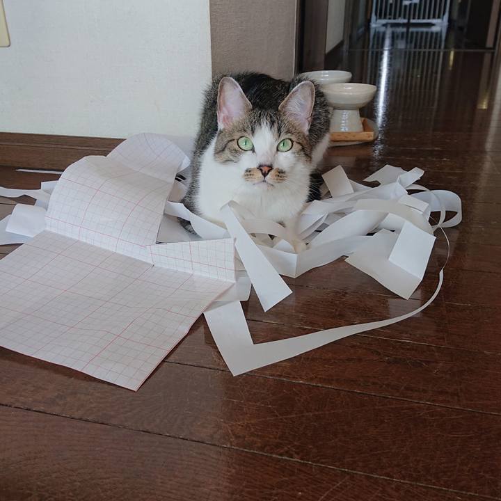 A751f085 988a 4728 bcb7 b4371b8f3194 1645955289373