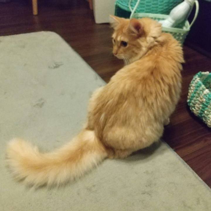 A751f623 1347 4d60 8488 bcbd341663e3 1629118452545