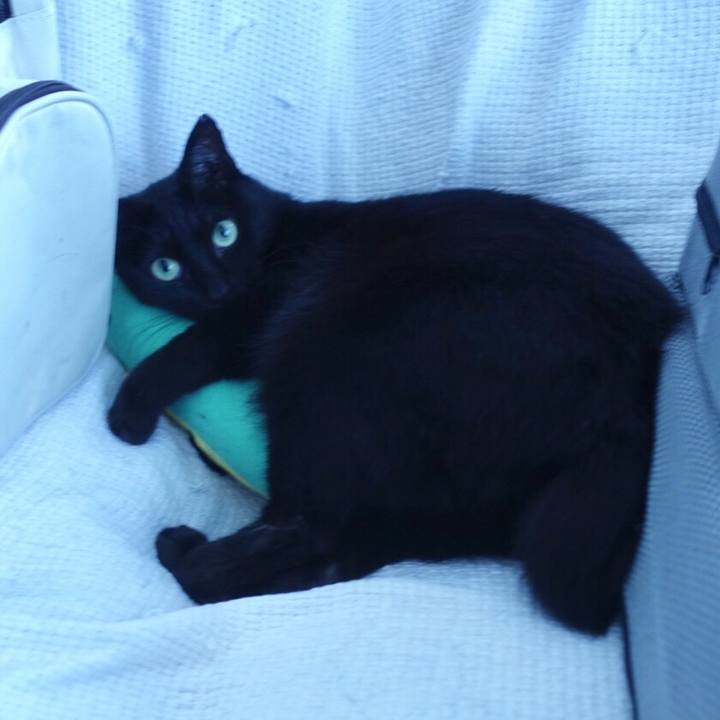 A7521101 0478 42d9 b312 f8d6b478b1c6 1569941407428