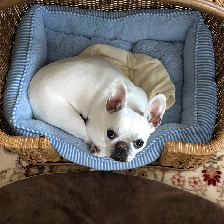 A7524705 b070 4362 ac34 97a812220ef8 1559364120621