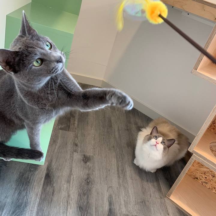 A75265f1 1838 43e5 90ad 8e1d5365308b 1563496209008