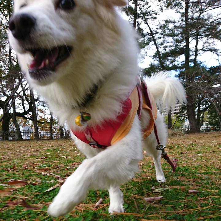 A752660d 32d7 47b9 8edc 35cfada70fb6 1638761671926