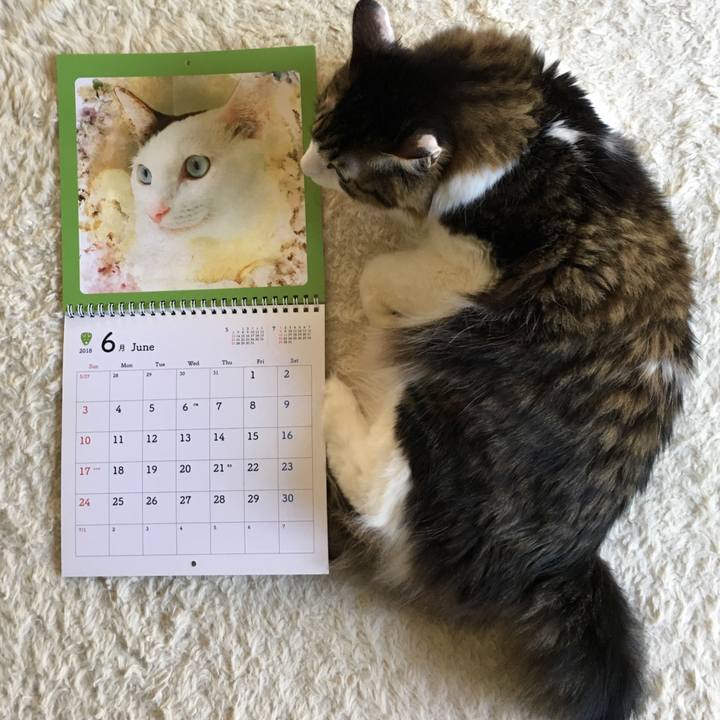 A752764f d516 4b92 befe eb4b48028c30 1527812674845