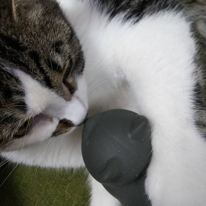 A7529048 5319 4e2f 9eb9 97a44837da5a 1617103128802