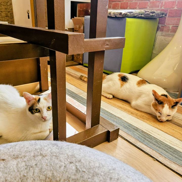 A7529cae 93d9 4a07 9091 3396a0cc971f 1752648904435