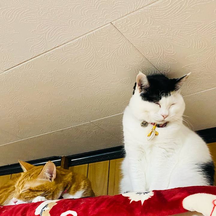 A752bfbc 98c7 42c5 81f0 486b8b5ff8be 1707313226642