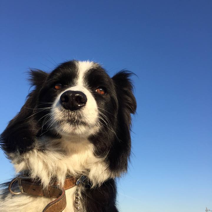 A7533c74 b963 48b0 af60 7cbee4c01832 1540075167692