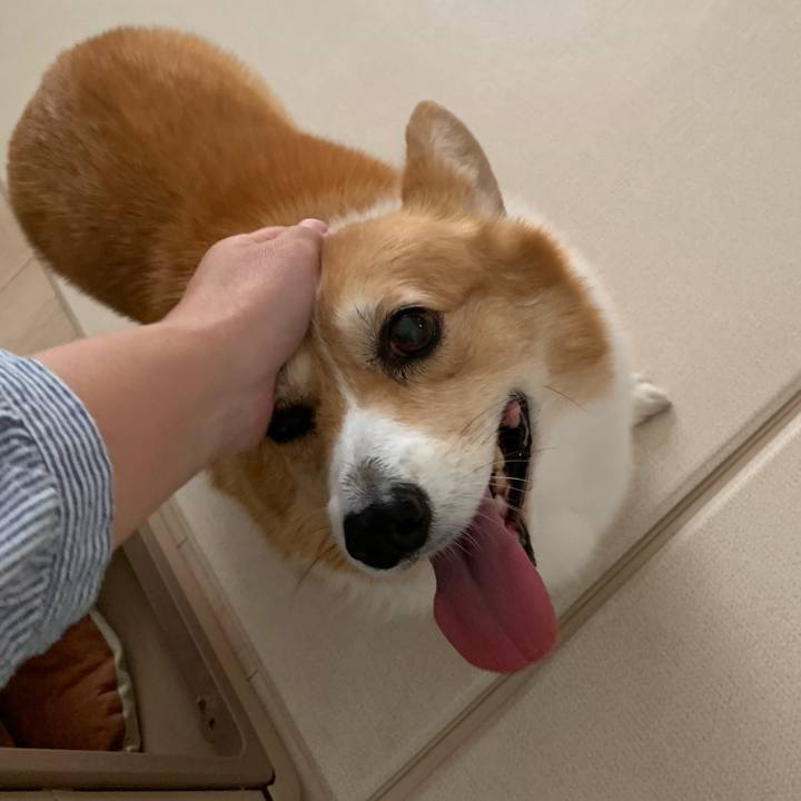 A753420a 11d9 4459 814b af1af044d6a2 1698378998452