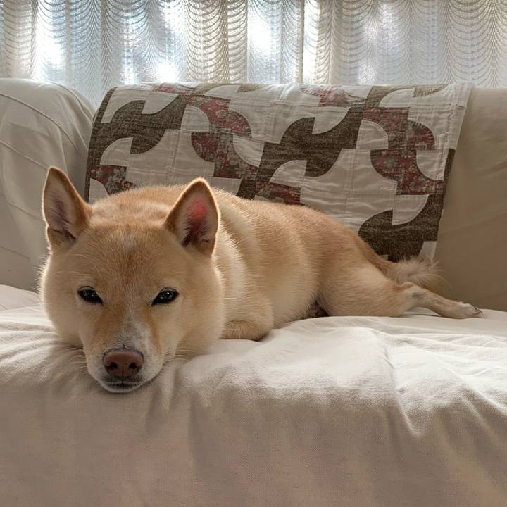 A75349f6 e8de 4e6a 961b f293438eb3ea 1633648970486