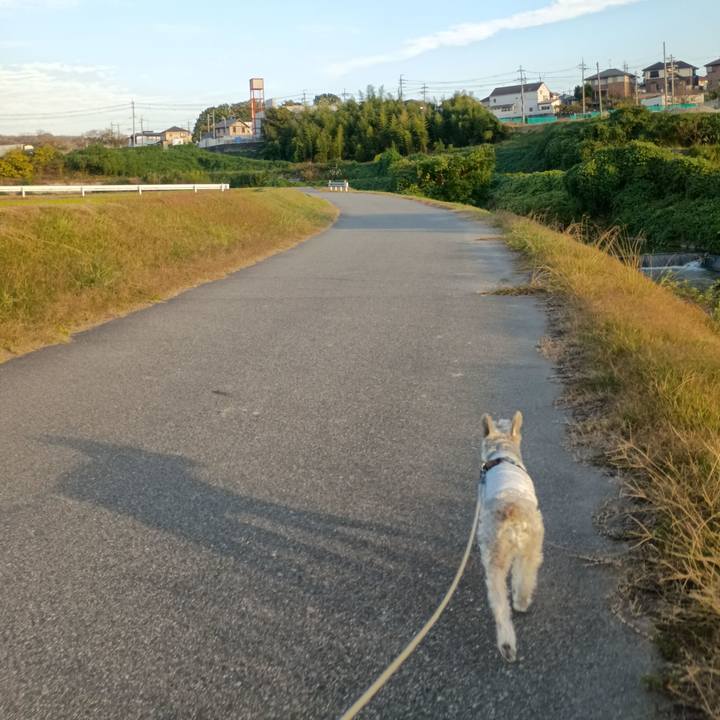 A7534db9 ed25 41fa a35b ccf4583034f0 1762604465194