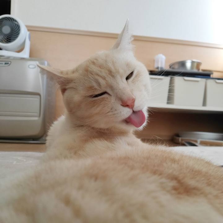 A753517a 76b1 4768 b1a9 d8e8496832d8 1679274016434