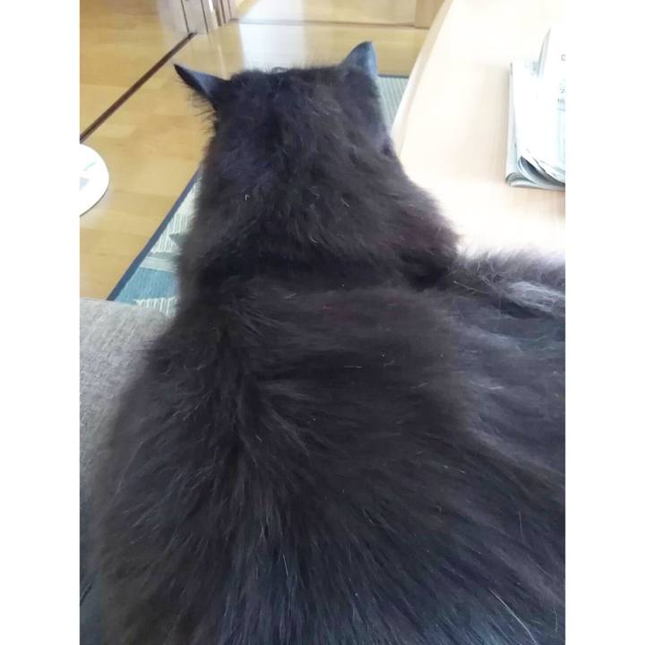 A75357ab ac84 43a8 921c 23cc71fea131 1533623441812