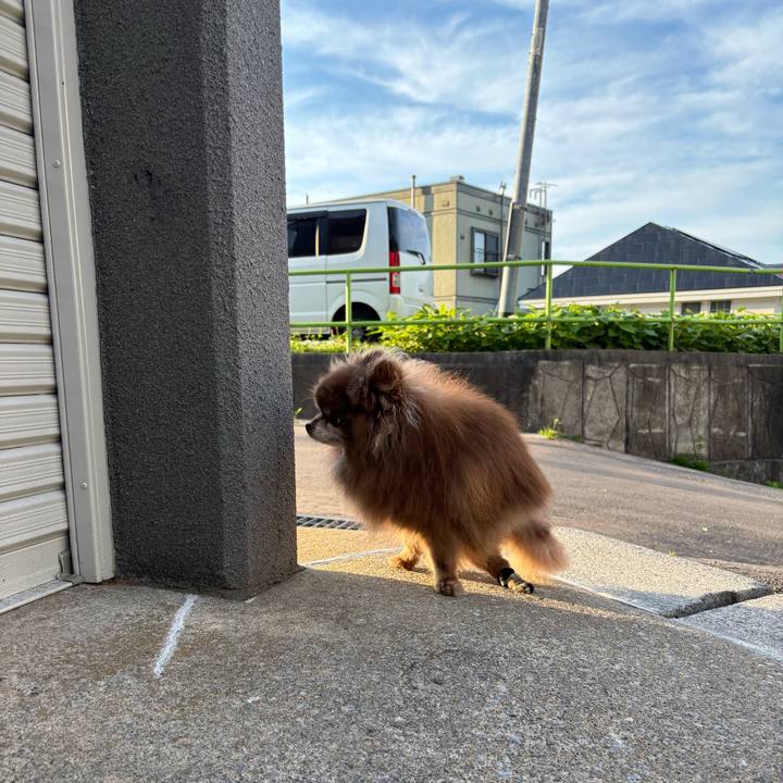 A75371ce e79c 406a a665 363146a0ddee 1751061133691