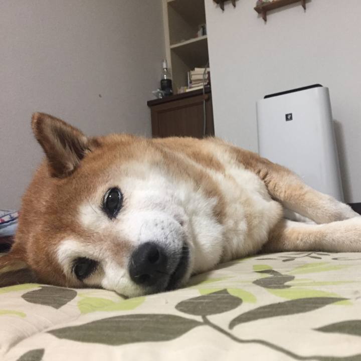 A75377a8 76d9 4d44 b615 34d7ea7d4507 1528446968324