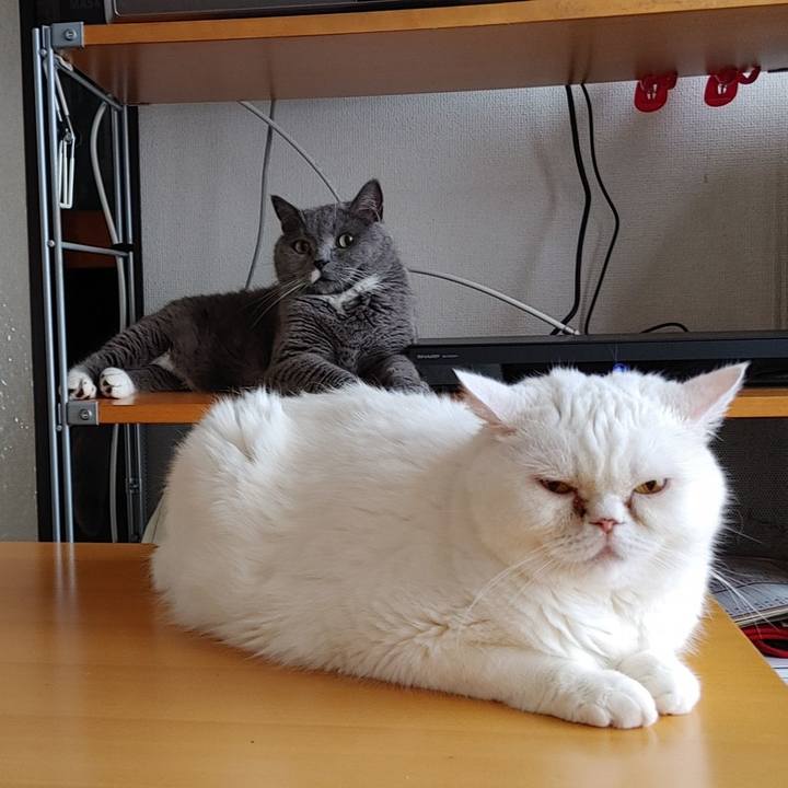 A753c081 36a5 45b4 ae22 297c036a38d8 1722286362846