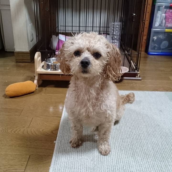 A753cf3f 4547 4be4 b67f 12840a45cce1 1526819192322