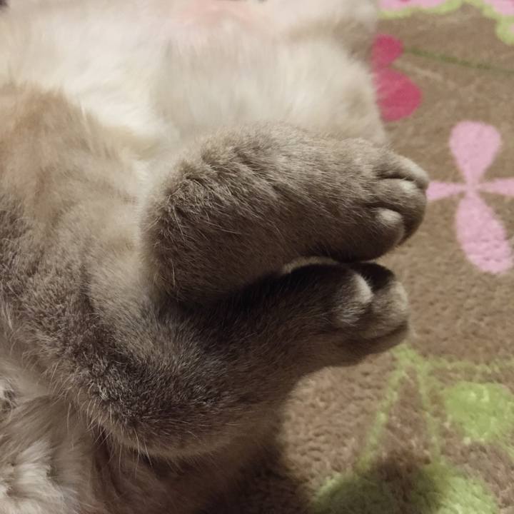 A75448fd f1b4 4dc5 89ac d6847deeab56 1518609651141