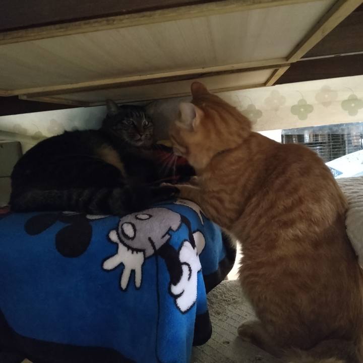 A754831e d6ef 4c99 a056 ee9ec3d5898f 1666044254321