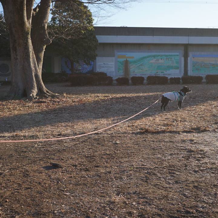 A7548c69 515f 4d48 aba7 829d4ec6ef92 1770079742739