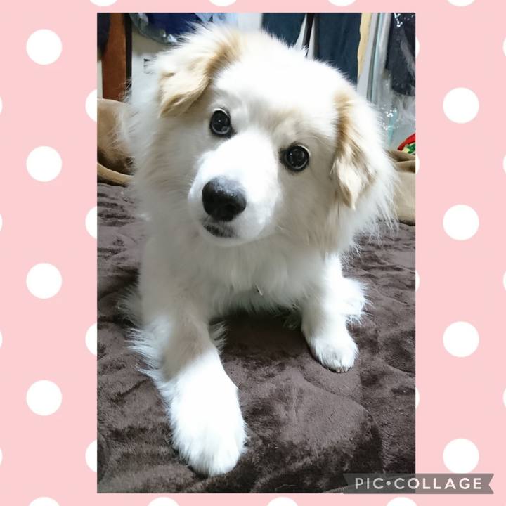 A754ff2d 0c9b 4d7b 8b6b c3d8be46f70c 1707908616866