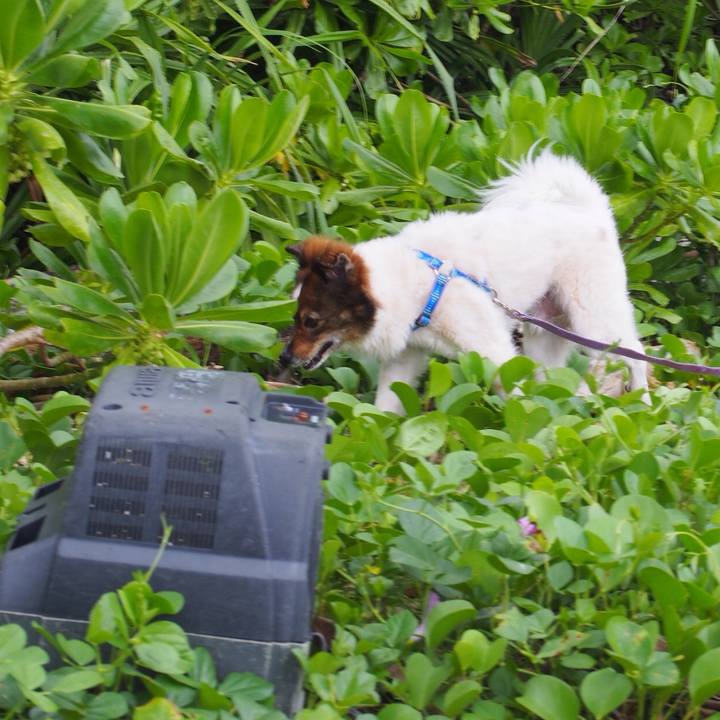 A7550746 0208 40ee 8101 96fffc8a9296 1535895870315