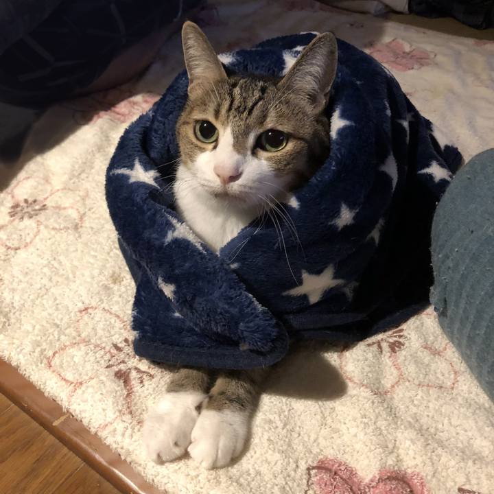 A75523bc 8055 458a 888c 589da7f0c593 1729908147618