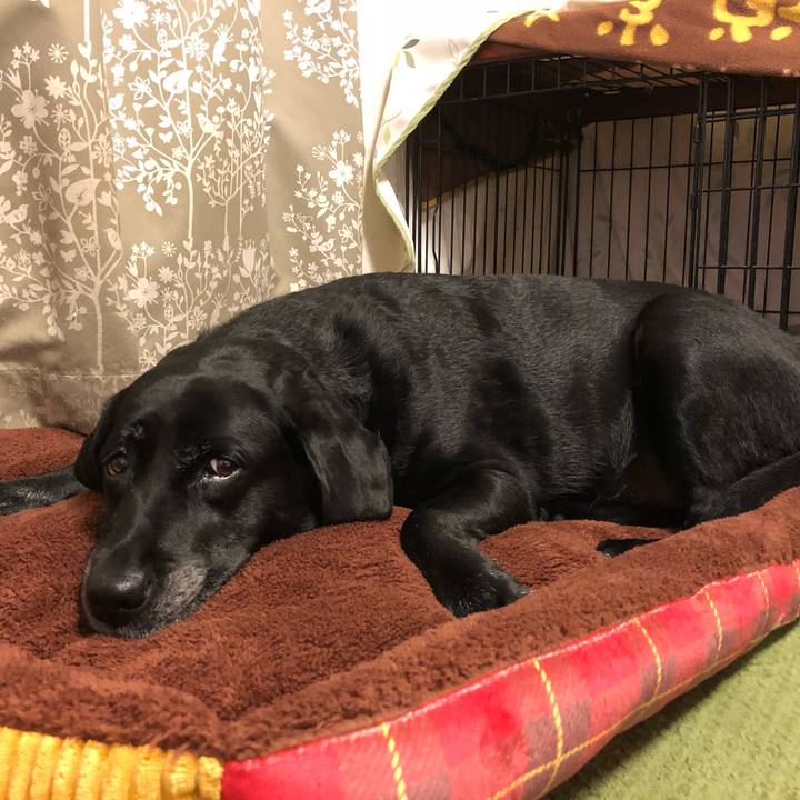 A75525dd 817f 46f1 9788 a5c1c3c0f2ec 1540042117951