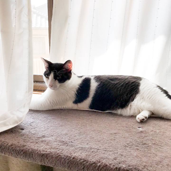 A7553253 8d87 4ca1 b995 2df9a831288a 1533719595873