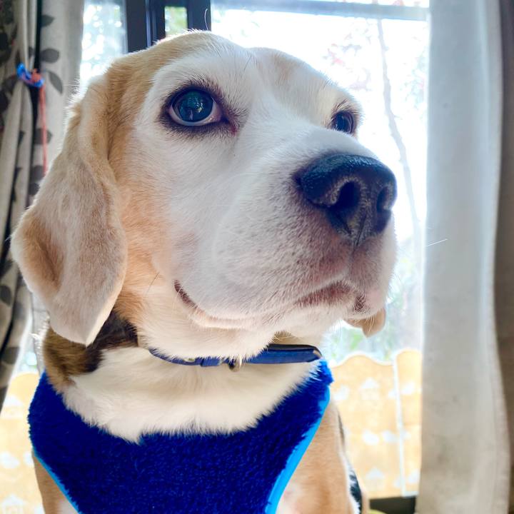 A75541e5 f168 4906 ac3c 006ffc3e5ebb 1607403111289