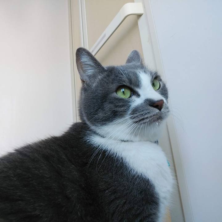 A755476f cf6c 4fc5 accf 42c8430de2b9 1674999971289