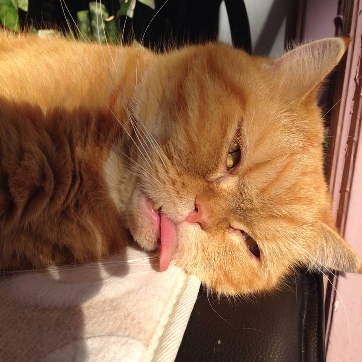 A7555e2e 446c 40a4 9a61 62922fe8f01f 1521347635574