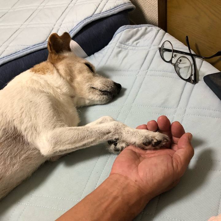 A75574f2 1d7d 4789 86d3 bd8427961e84 1569593064980