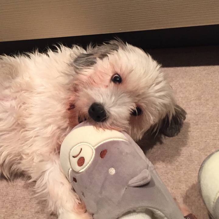 A7557d74 e70f 4e87 bb2f 2ef3c9342ce1 1512272646421