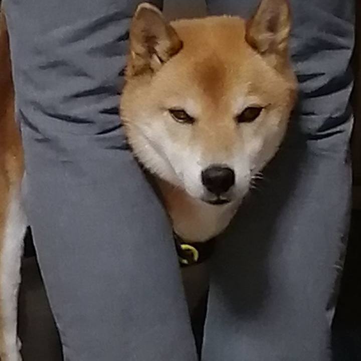 A7558998 dffe 417b bf98 1ad0733b1eae 1606906291352