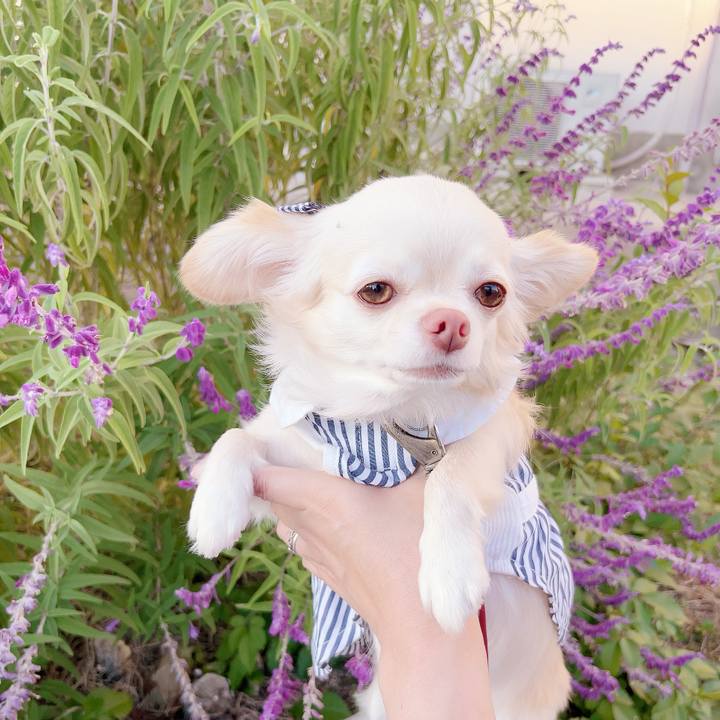 A755de70 2382 4edc 943c ad49c8d4d7d3 1697193107981