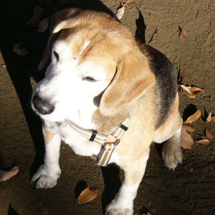 A755e525 ac2d 418c a1be 391edcfa1b4b 1648775655090