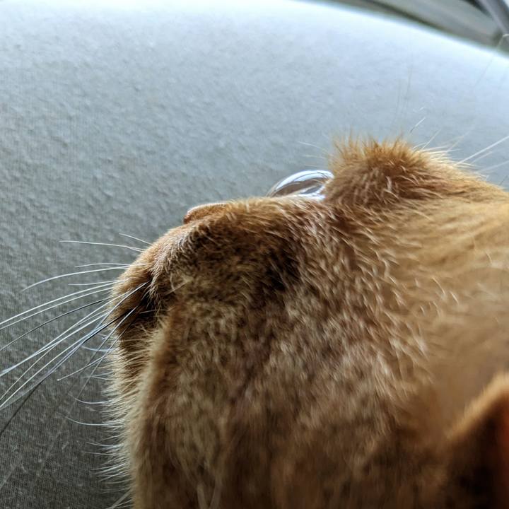 A755f232 0fb0 4bea b383 d72132469852 1688171138500