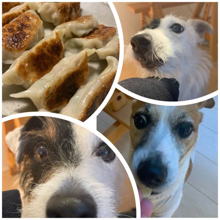 A7563263 596d 4258 b30a 4ae7ad402a2f 1589109077365