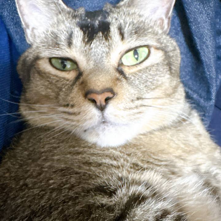 A7563f40 6701 4aa2 913f 334cc05ac4c6 1762703814515