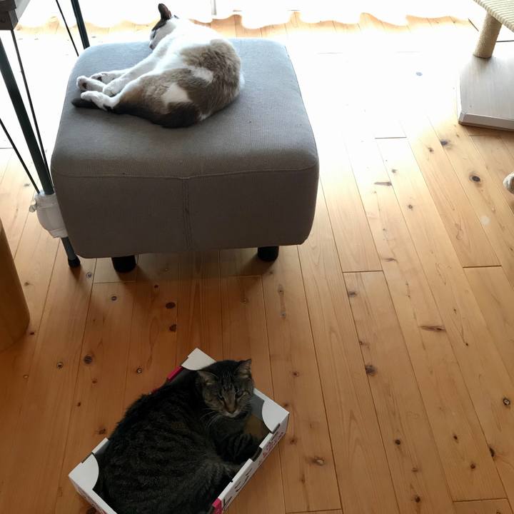 A7565120 e116 4d66 b3f0 cc06240706ed 1590633277815