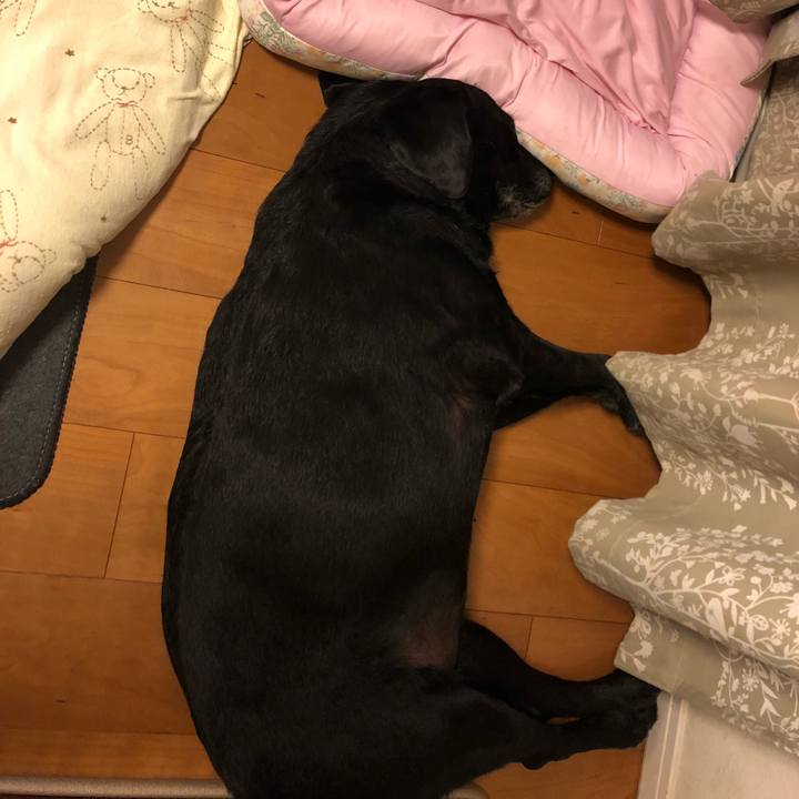 A7568c6b 5d1f 4639 aa71 7ac51e56848f 1534946474868