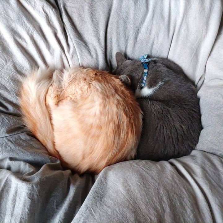 A7569686 c5e4 46cd 916d cc38a46a145b 1668909141642