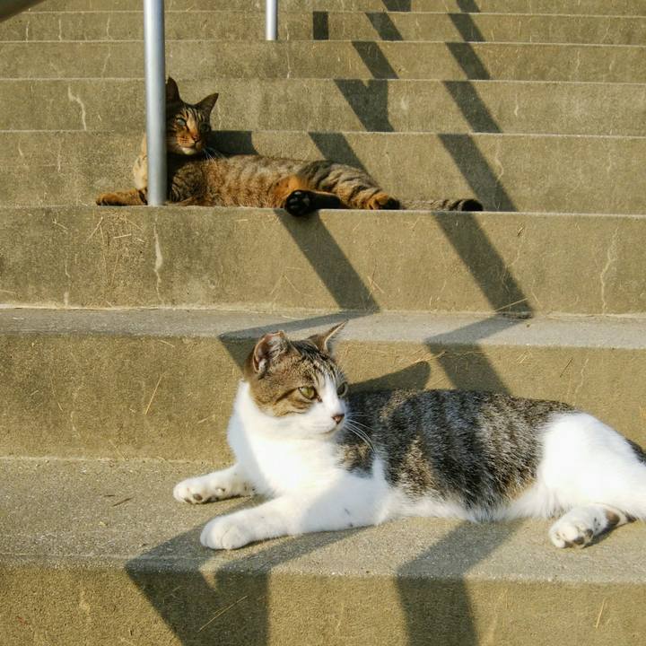 A756b61a a8d7 4bad 8542 267abe6c292a 1537316643249